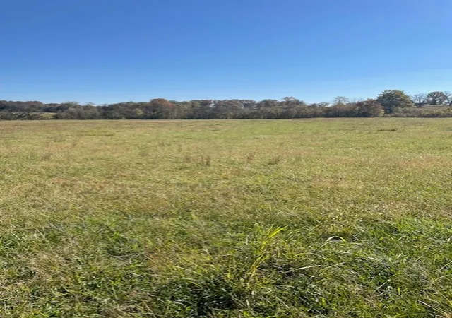 Photo 4 of Land for sale at 0 Old Nashville Dirt Rd, Shelbyville, TN 37160 | MLS# 3042156 | Listing updated on 2026-09-01