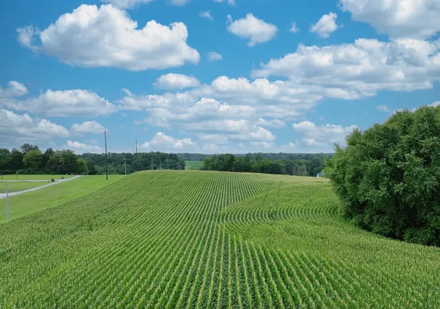 4th image of 0 Turner Ford Rd, Franklin, KY 42134 | MLS# 3041868