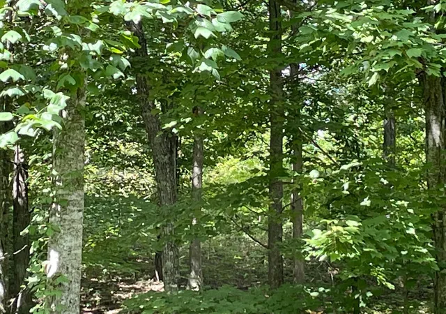 Photo 1 of Land for sale at 0 Roaring Crk Rd, Dunlap, TN 37327 | MLS# 3599495 | Listing updated on 2026-09-25