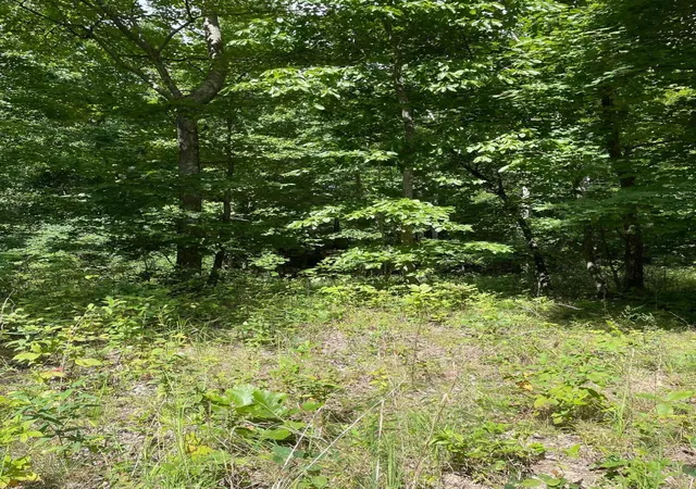 Photo 2 of Land for sale at 0 Roaring Crk Rd, Dunlap, TN 37327 | MLS# 3599495 | Listing updated on 2026-09-25