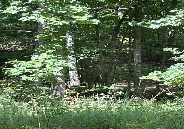 Photo 3 of Land for sale at 0 Roaring Crk Rd, Dunlap, TN 37327 | MLS# 3599495 | Listing updated on 2026-09-25