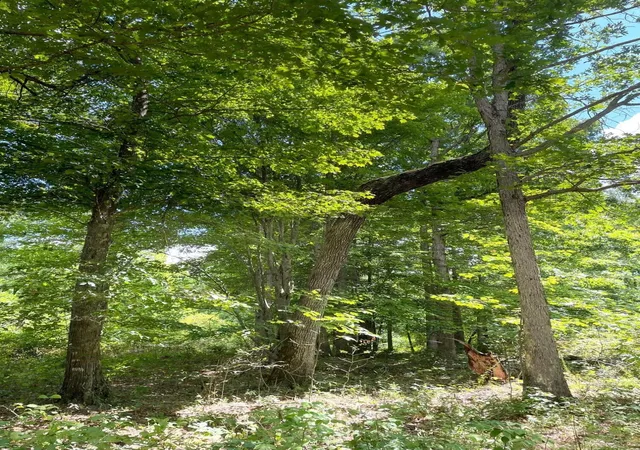 Photo 4 of Land for sale at 0 Roaring Crk Rd, Dunlap, TN 37327 | MLS# 3599495 | Listing updated on 2026-09-25