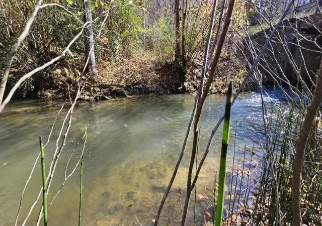 1st image of 0 Woods Rd, Dunlap, TN 37327 | MLS# 3042786