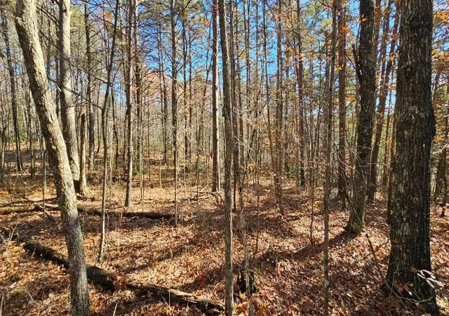 3rd image of 0 Woods Rd, Dunlap, TN 37327 | MLS# 3042786