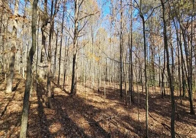 4th image of 0 Woods Rd, Dunlap, TN 37327 | MLS# 3042786
