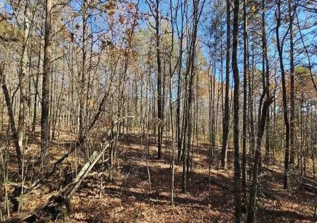 5th image of 0 Woods Rd, Dunlap, TN 37327 | MLS# 3042786