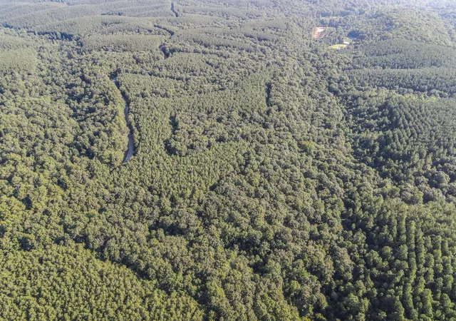 Photo 3 of Land for sale at 0 Brush Crk Rd, Hohenwald, TN 38462 | MLS# 3042921 | Listing updated on 2026-10-09