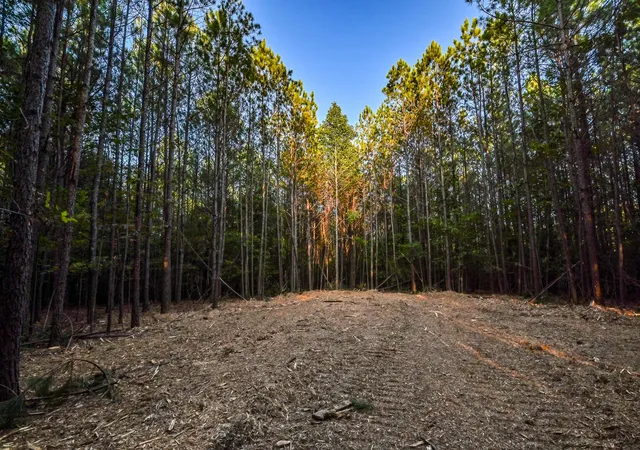 Land for sale at 0 Brush Crk Rd, Hohenwald, TN 38462 | MLS# 3042921