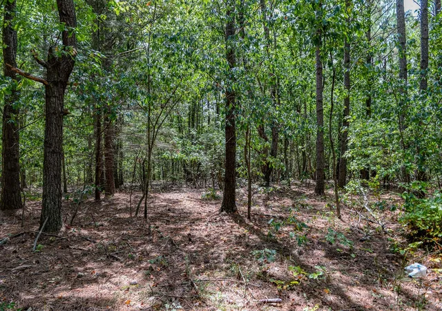 Photo 4 of Land for sale at 0 Brush Crk Rd, Hohenwald, TN 38462 | MLS# 3042921 | Listing updated on 2026-10-09