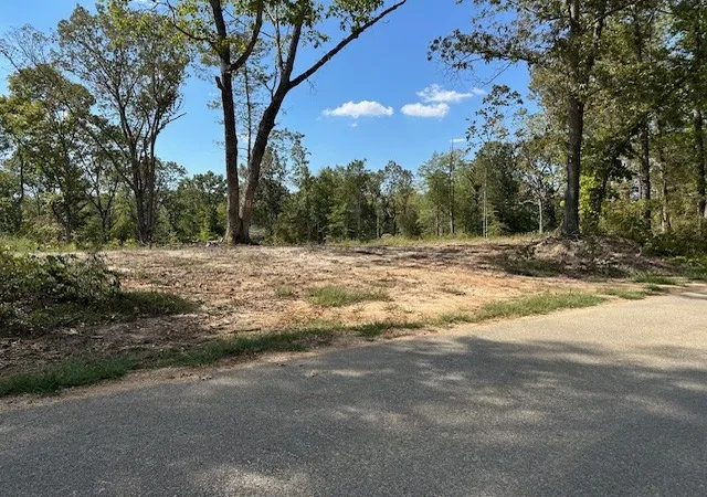 1st image of 1 Firetower Rd, Camden, TN 38320 | MLS# 3042939