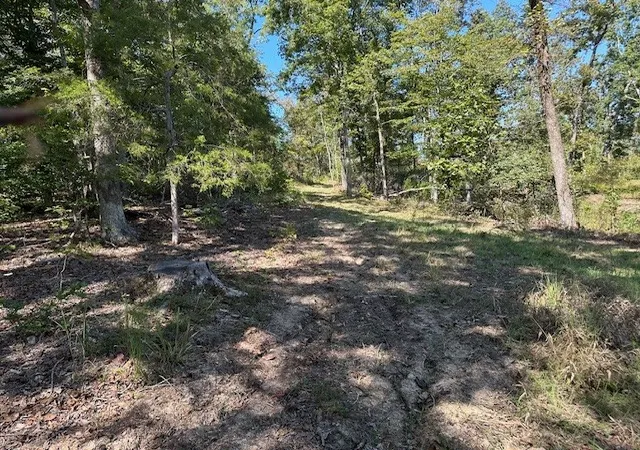 2nd image of 1 Firetower Rd, Camden, TN 38320 | MLS# 3042939