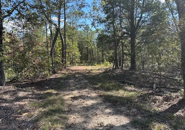 3rd image of 1 Firetower Rd, Camden, TN 38320 | MLS# 3042939