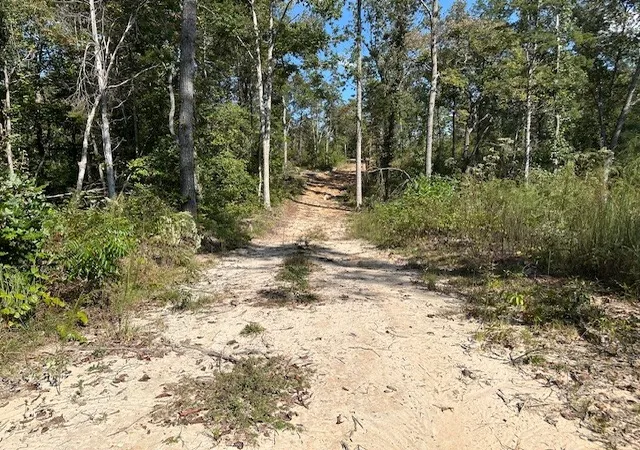 4th image of 1 Firetower Rd, Camden, TN 38320 | MLS# 3042939
