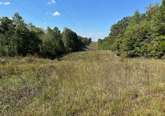 5th image of 1 Firetower Rd, Camden, TN 38320 | MLS# 3042939