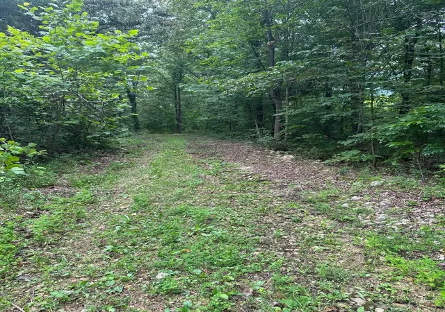 11th image of 1 Hwy 230 W, Only, TN 37140 | MLS# 3042949
