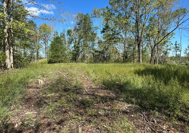 2nd image of 1 Hwy 230 W, Only, TN 37140 | MLS# 3042949