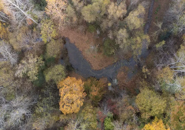 49th image of 0 Short Creek Rd, Linden, TN 37096 | MLS# 3043688
