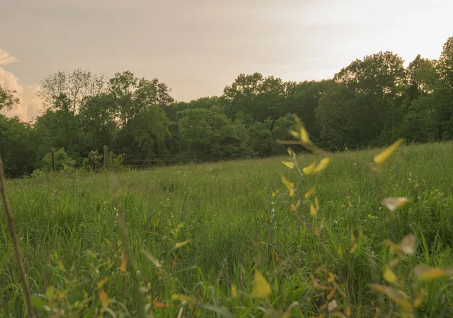 Photo 3 of Land for sale at 775 Railroad Rd, Wartrace, TN 37183 | MLS# 3043494 | Listing updated on 2026-09-01