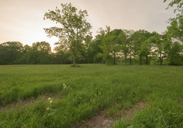 Photo 4 of House for sale at 775 Railroad Rd, Wartrace, TN 37183 | MLS# 3043494 | Listing updated on 2026-09-01