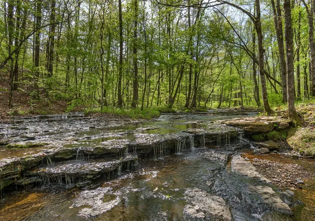 2nd image of 202 Ravenridge Rd, Summertown, TN 38483 | MLS# 3045877