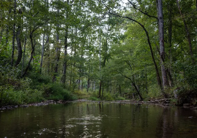 Photo 2 of Land for sale at 202 Ravenridge Rd, Summertown, TN 38483 | MLS# 3045877 | Listing updated on 2026-09-23