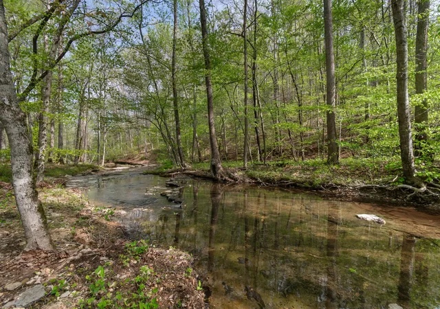 Photo 3 of Land for sale at 202 Ravenridge Rd, Summertown, TN 38483 | MLS# 3045877 | Listing updated on 2026-08-19