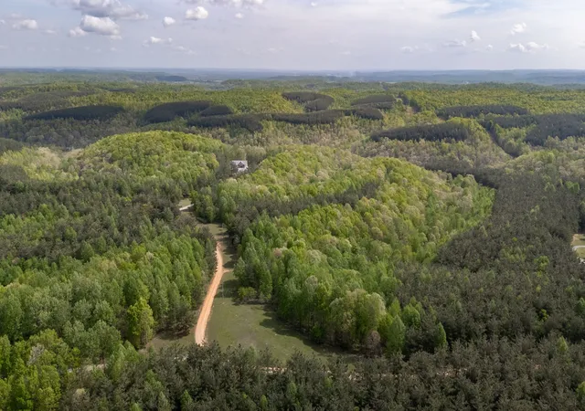 83rd image of 202 Ravenridge Rd, Summertown, TN 38483 | MLS# 3045877
