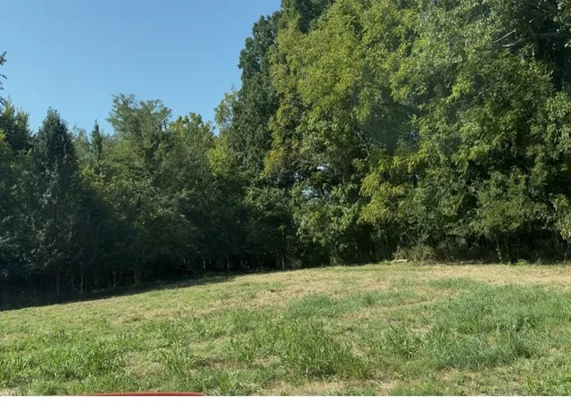 Land for sale at 3941 Baggett Rd, Springfield, TN 37172 | MLS# 3045759