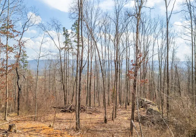 Homes for sale in Pikeville, TN | 0 Lee Station Mountain Road, Pikeville, TN 37367 | MLS# 3043773