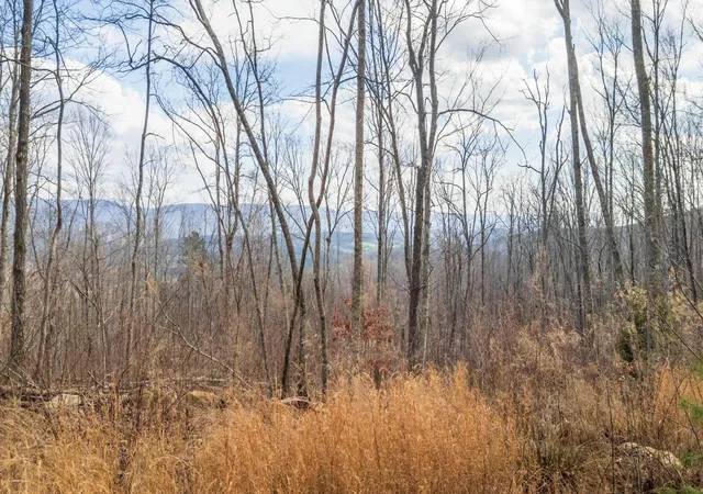 Homes for sale in Pikeville, TN | 0 Lee Station Mountain Road, Pikeville, TN 37367 | MLS# 3043773