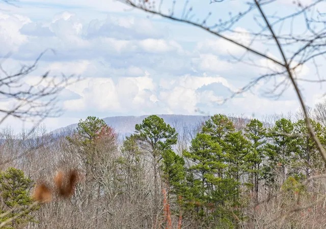 Homes for sale in Pikeville, TN | 0 Lee Station Mountain Road, Pikeville, TN 37367 | MLS# 3043773