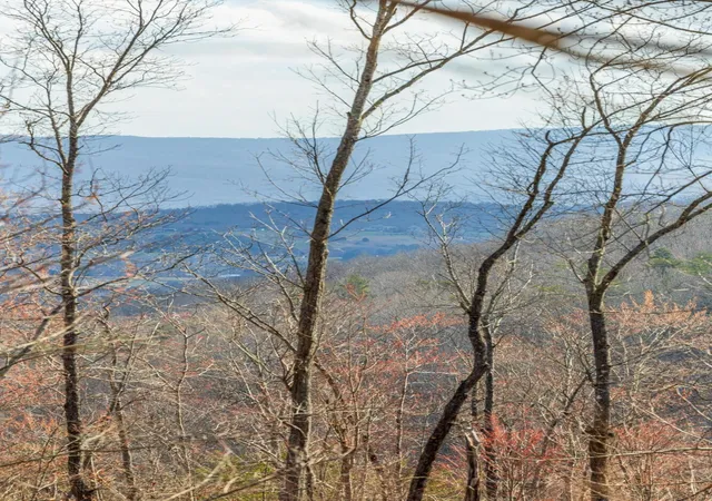 Homes for sale in Pikeville, TN | 0 Lee Station Mountain Road, Pikeville, TN 37367 | MLS# 3043773