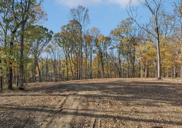 Photo 1 of Land at 0 Palmer Rd, Lebanon, TN 37090 | MLS# 3045158 |  | Sold on 2025-12-29