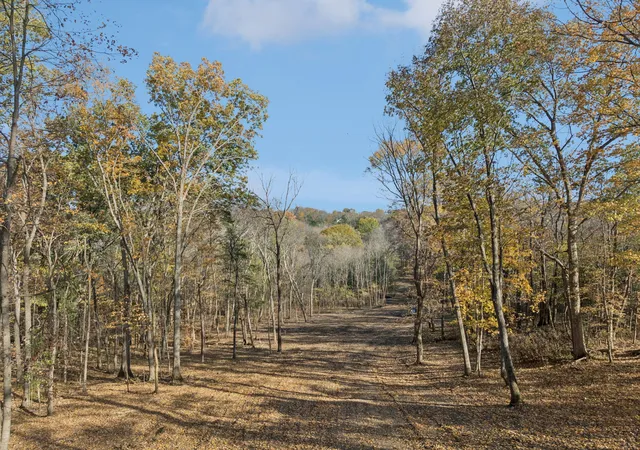 Photo 4 of Land at 0 Palmer Rd, Lebanon, TN 37090 | MLS# 3045158 |  | Sold on 2025-12-29