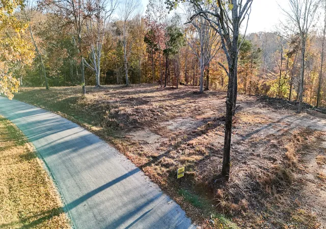 Photo 3 of Land for sale at 0 Chestnut Grv Rd, Pulaski, TN 38478 | MLS# 3045342 | Listing updated on 2026-08-25
