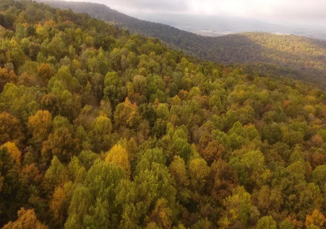 Photo 3 of Land for sale at 0 Clouse Hill Rd, Tracy City, TN 37387 | MLS# 3045438 | Listing updated on 2026-10-01