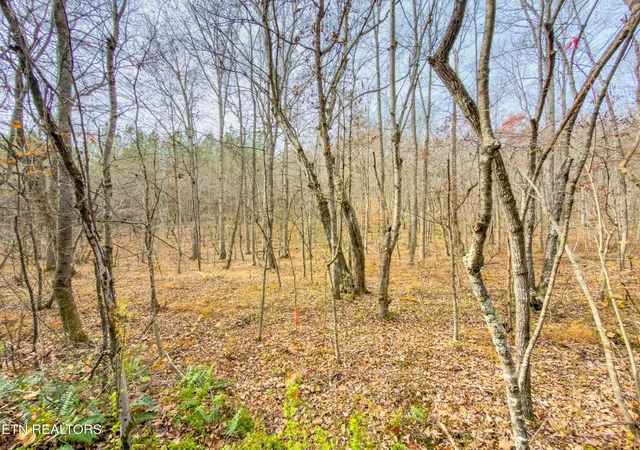37th image of 9745 Morgan County Hwy, Sunbright, TN 37872 | MLS# 3304459