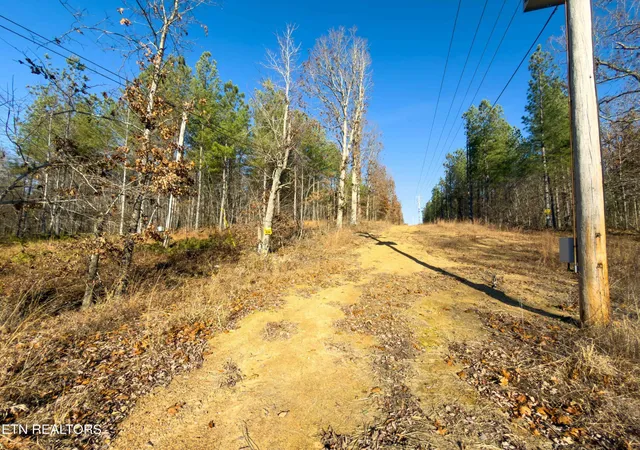5th image of 9745 Morgan County Hwy, Sunbright, TN 37872 | MLS# 3304459