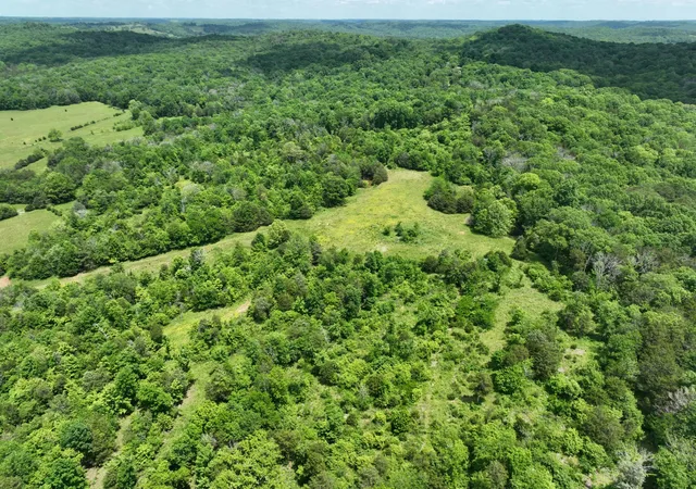 Photo 2 of Land for sale at 0 Moore Hollow Rd, Prospect, TN 38477 | MLS# 3045942 | Listing updated on 2025-11-18