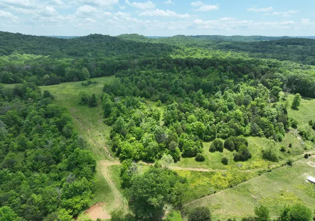 Photo 3 of Land for sale at 0 Moore Hollow Rd, Prospect, TN 38477 | MLS# 3045942 | Listing updated on 2025-11-18
