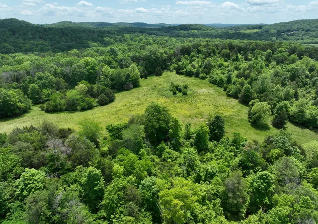 Photo 4 of Land for sale at 0 Moore Hollow Rd, Prospect, TN 38477 | MLS# 3045942 | Listing updated on 2025-11-18