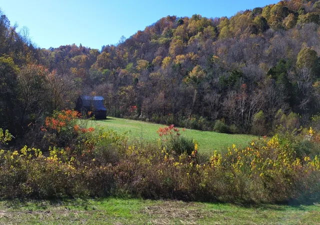 Photo 4 of House for sale at 0 Hollis Crk Rd S, Woodbury, TN 37190 | MLS# 3046080 | Listing updated on 2026-08-21
