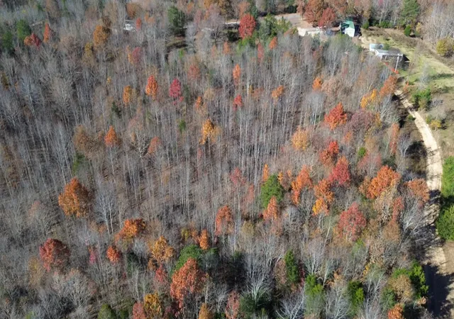 2nd image of 0 Linda Lane, Linden, TN 37096 | MLS# 3046693