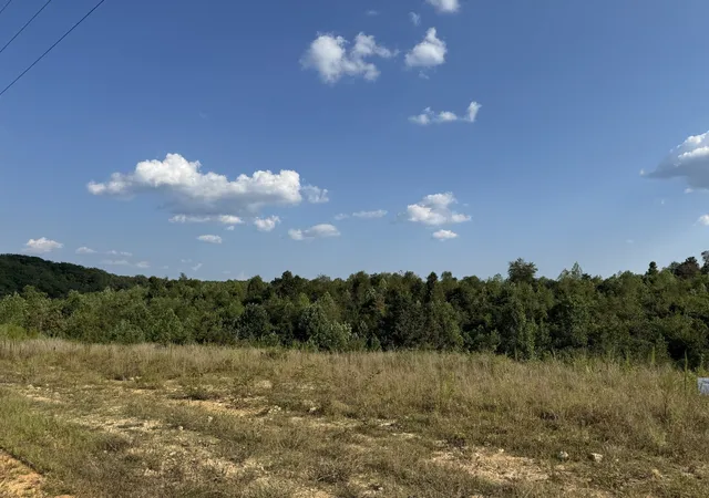 Homes for sale in Lobelville, TN | 169 Twin Pines Rd, Lobelville, TN 37097 | MLS# 3046927