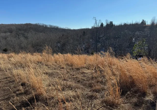 Homes for sale in Lobelville, TN | 169 Twin Pines Rd, Lobelville, TN 37097 | MLS# 3046927
