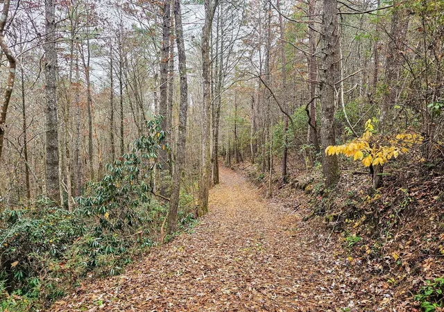 1st image of 138 Bowater Road, Tellico Plains, TN 37385 | MLS# 3228467