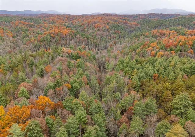 2nd image of 138 Bowater Road, Tellico Plains, TN 37385 | MLS# 3228467