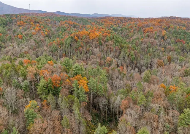 22nd image of 138 Bowater Road, Tellico Plains, TN 37385 | MLS# 3228467