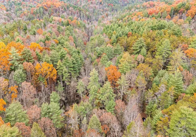 3rd image of 138 Bowater Road, Tellico Plains, TN 37385 | MLS# 3228467