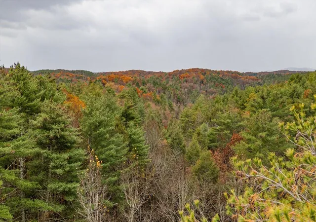 4th image of 138 Bowater Road, Tellico Plains, TN 37385 | MLS# 3228467
